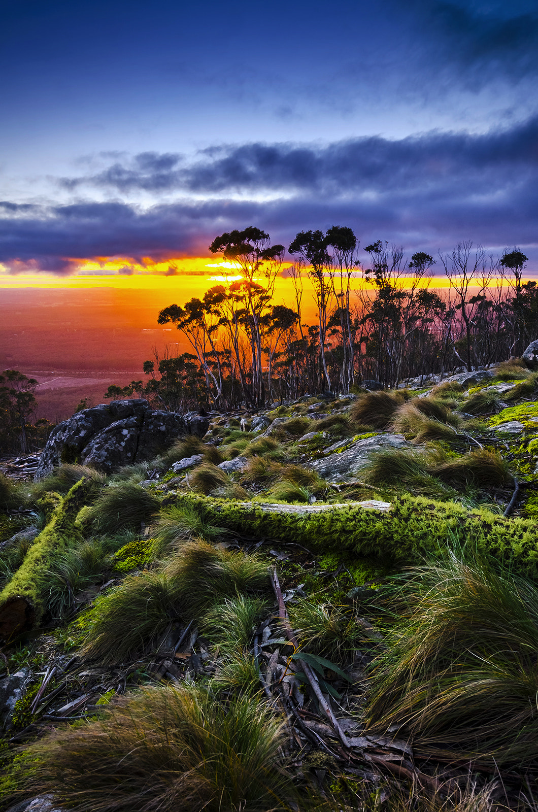 Nikon AF-S Nikkor 14-24mm F2.8G ED sample photo. Sunset - mt macedon photography
