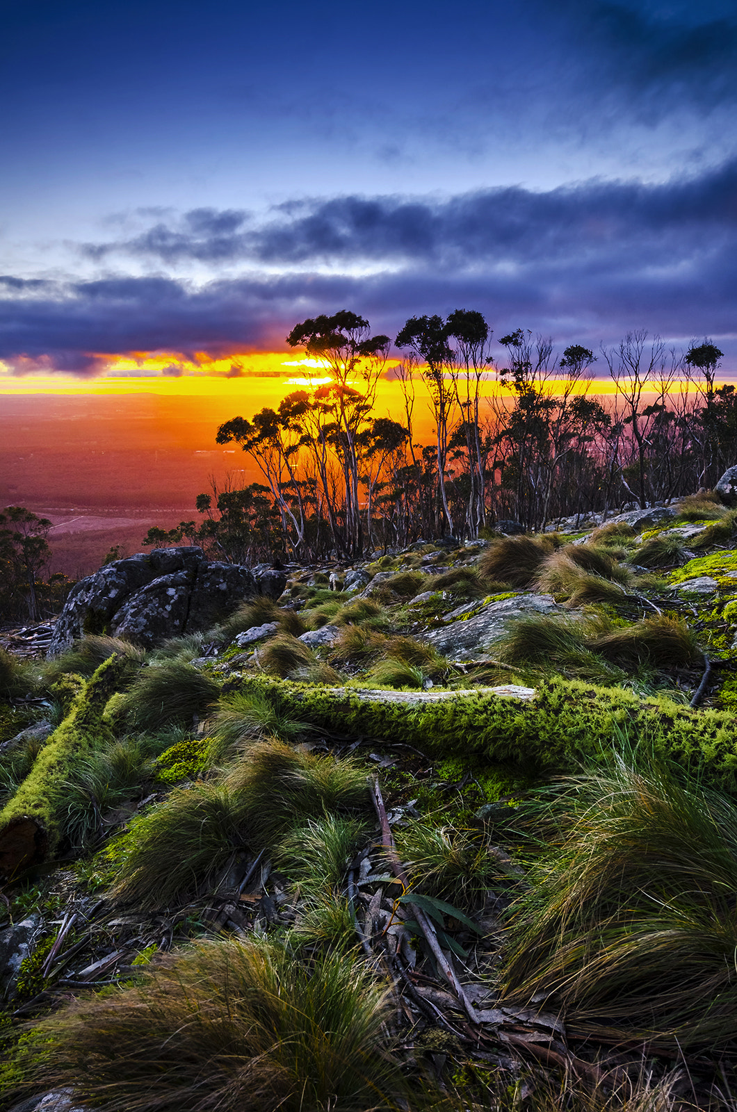 Nikon D7000 + Nikon AF-S Nikkor 14-24mm F2.8G ED sample photo. Sunset - mt macedon photography