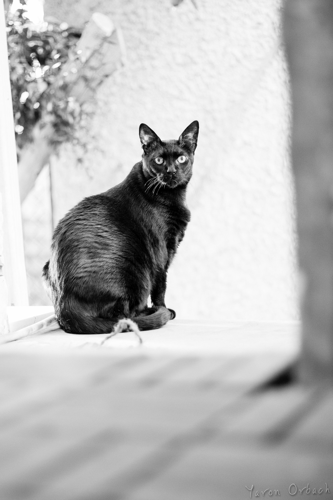 Canon EOS 650D (EOS Rebel T4i / EOS Kiss X6i) sample photo. Isabelle modeling photography
