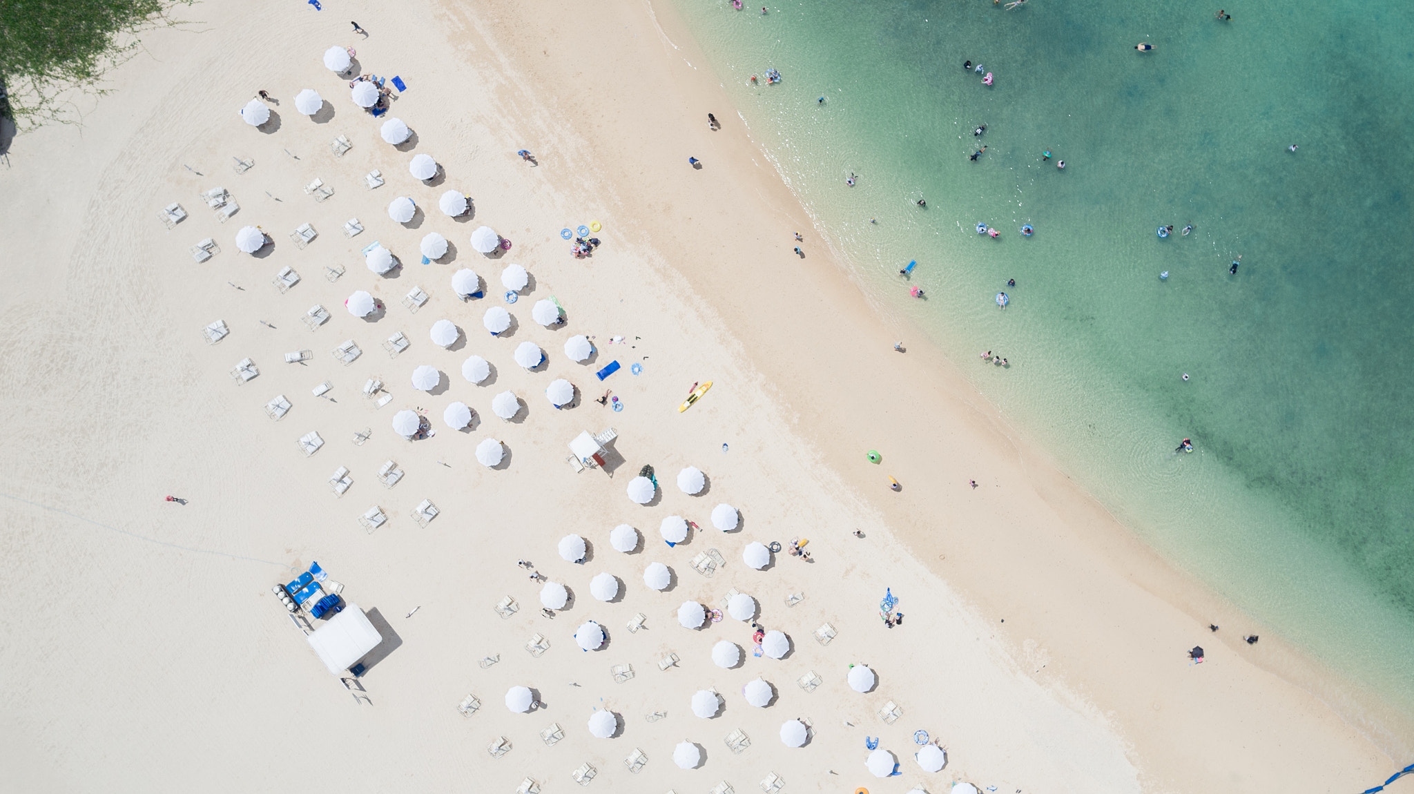 DJI FC550 sample photo. White parasol photography