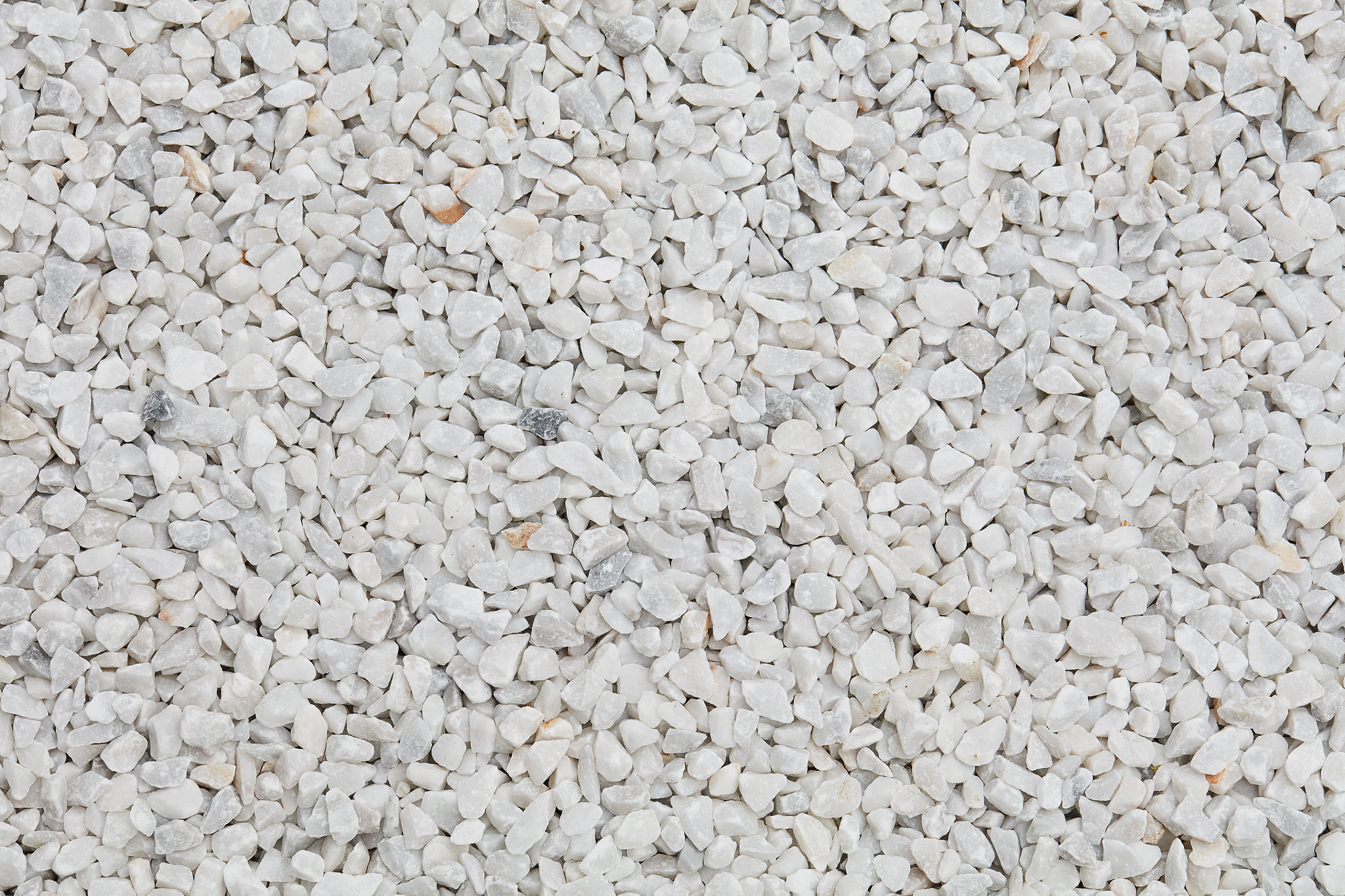 Canon EF 100mm F2.8L Macro IS USM sample photo. Elegant gravel texture photography