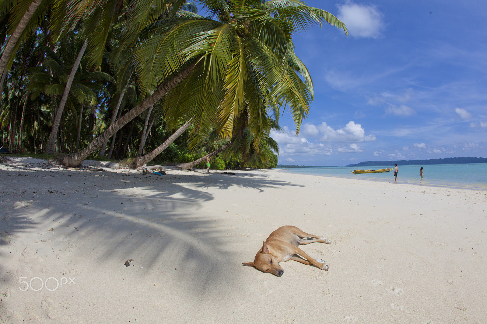 Canon EF 15mm F2.8 Fisheye sample photo. Andaman islands chillout photography