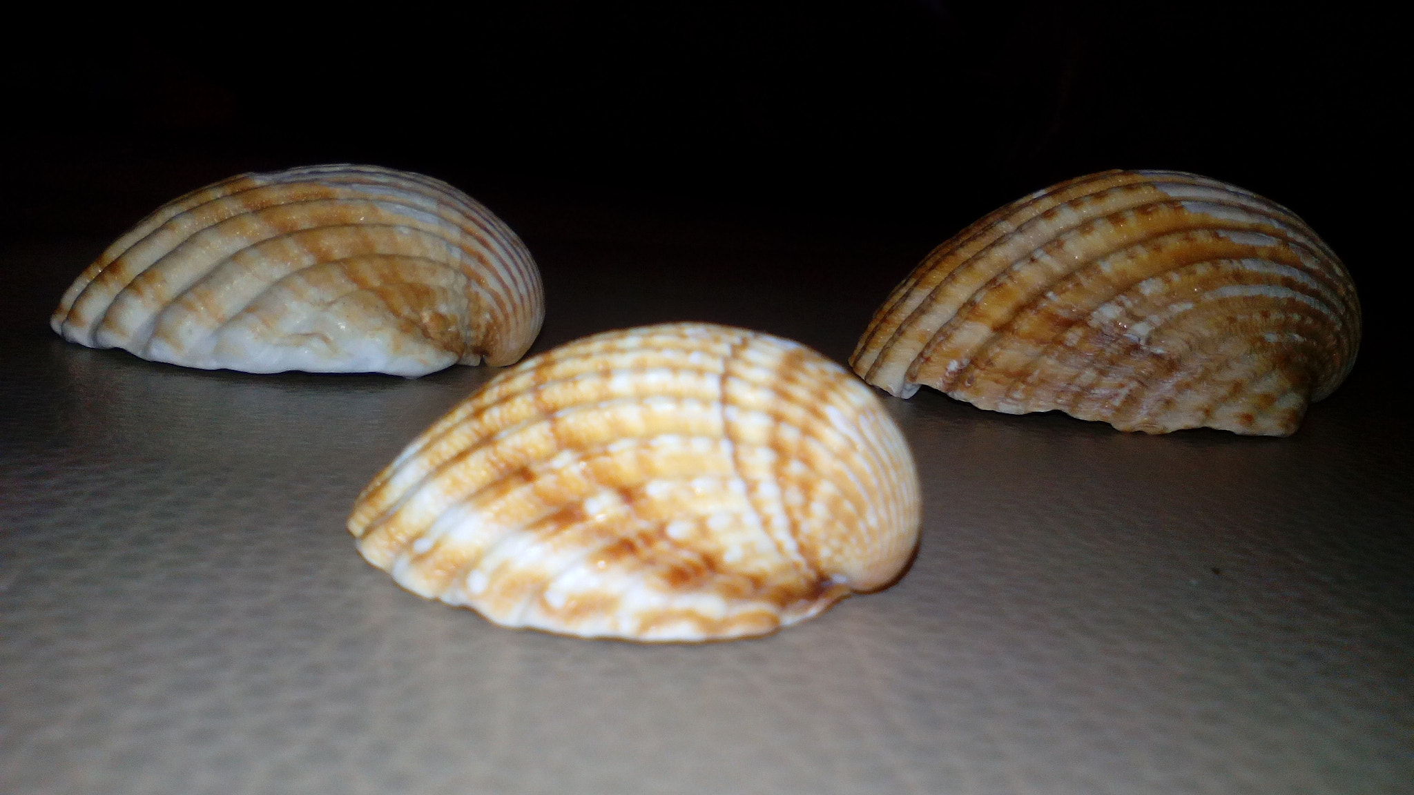 TCT ALCATEL ONE TOUCH 7041X sample photo