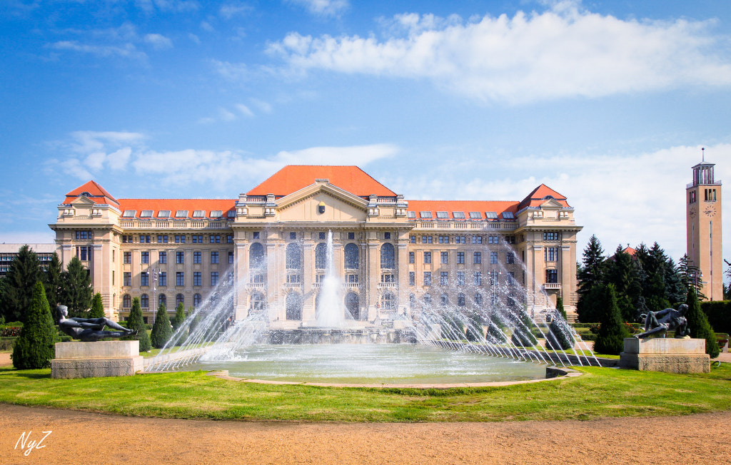 Canon EOS 550D (EOS Rebel T2i / EOS Kiss X4) + Canon TS-E 90mm F2.8 Tilt-Shift sample photo. University of debrecen photography