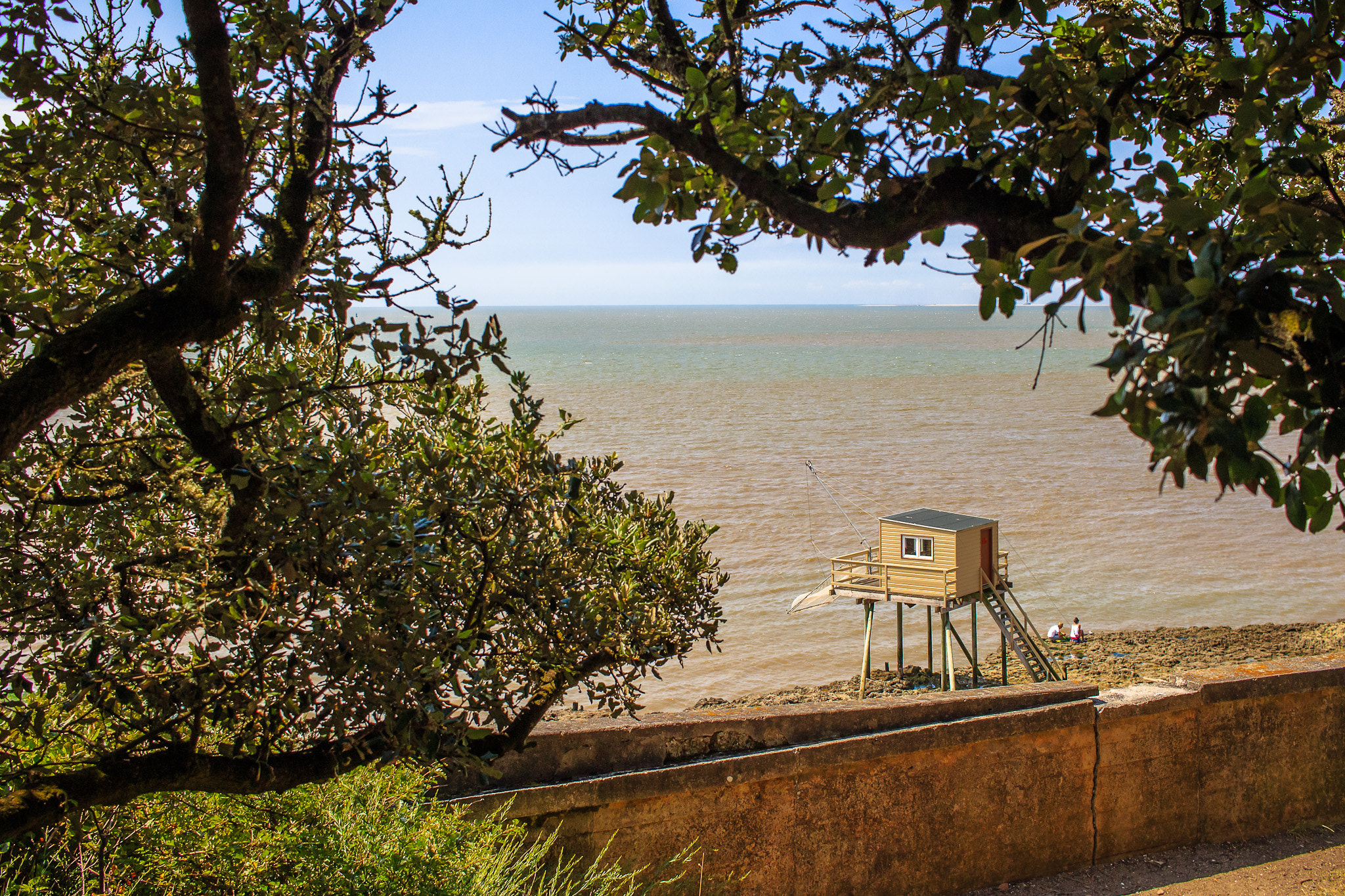 Canon EF-S 24mm F2.8 STM sample photo. Carrelet sur l'atlantique photography