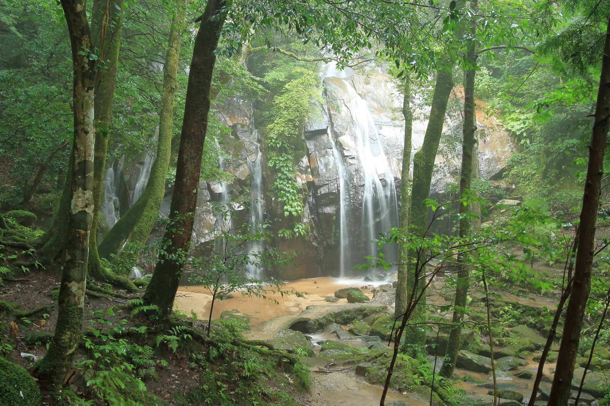Canon EOS-1D Mark III sample photo. 金引の滝 photography