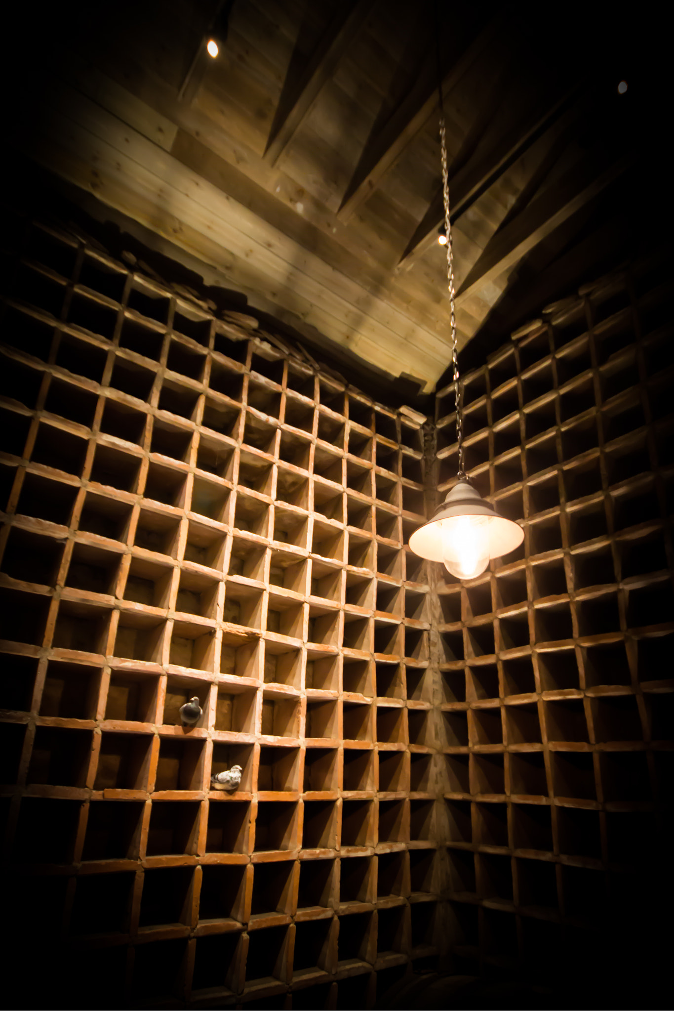 Sigma 10-20mm F4-5.6 EX DC HSM sample photo. Doocot photography