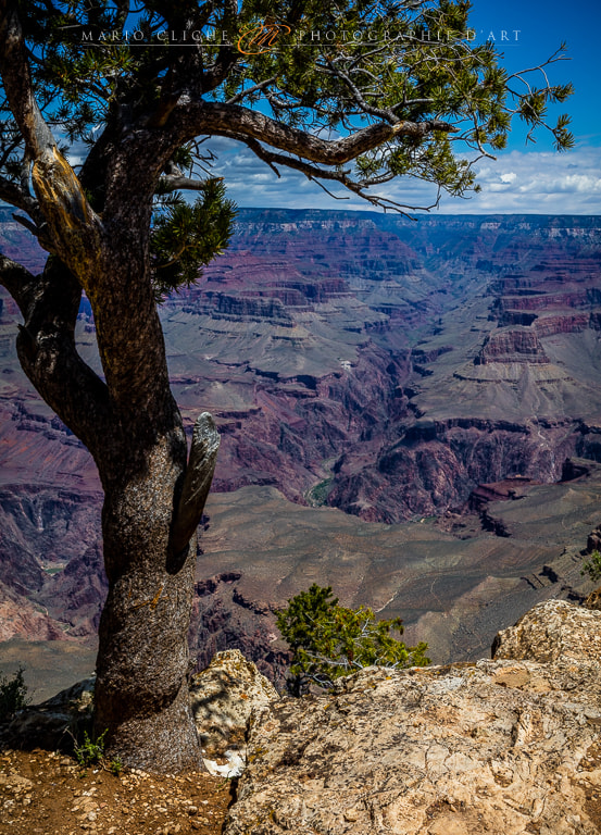 Canon EOS 5DS + Canon EF 24-70mm F2.8L USM sample photo. Wavapai point, grand canyon. photography