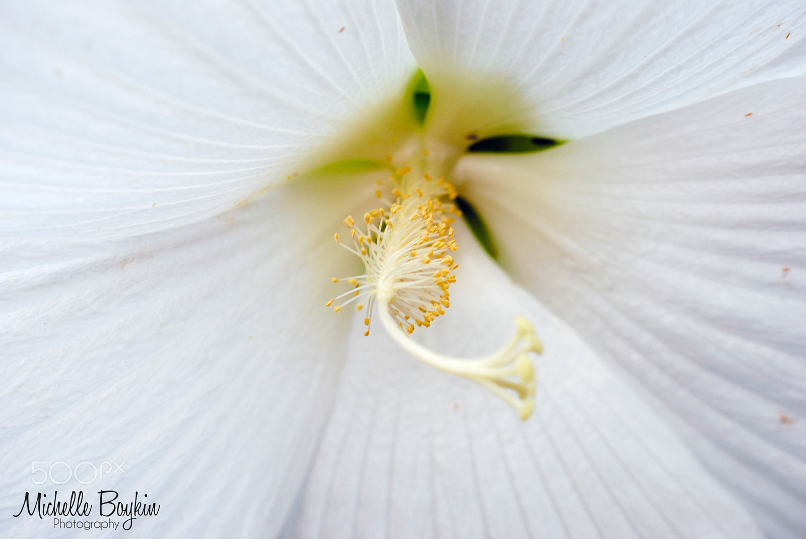 Nikon D3000 sample photo. Nature photography