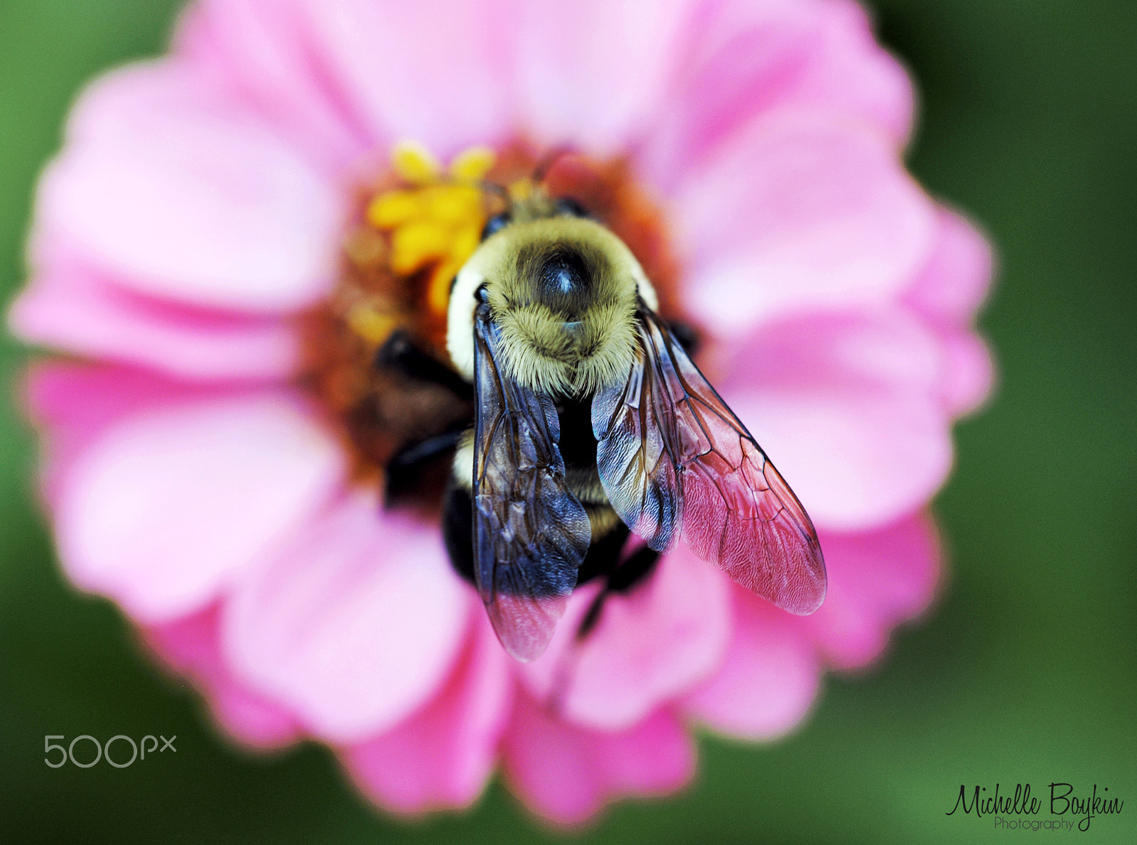 Nikon D3000 sample photo. Nature photography