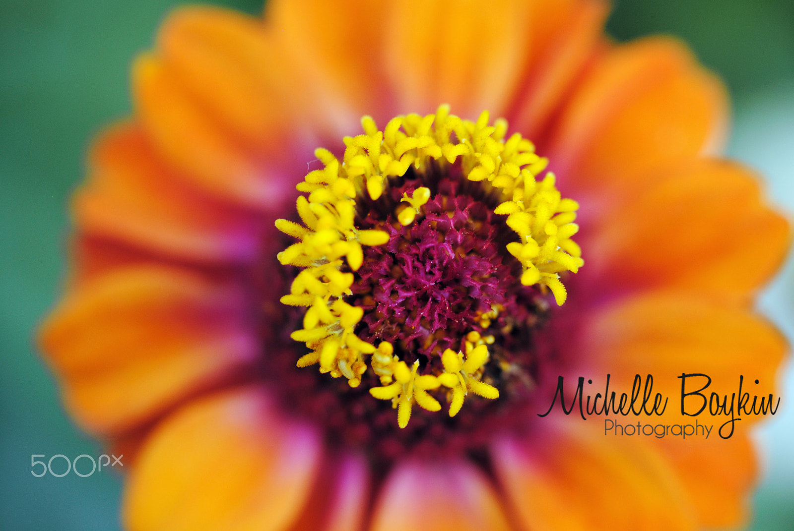 Nikon D3000 sample photo. Nature photography