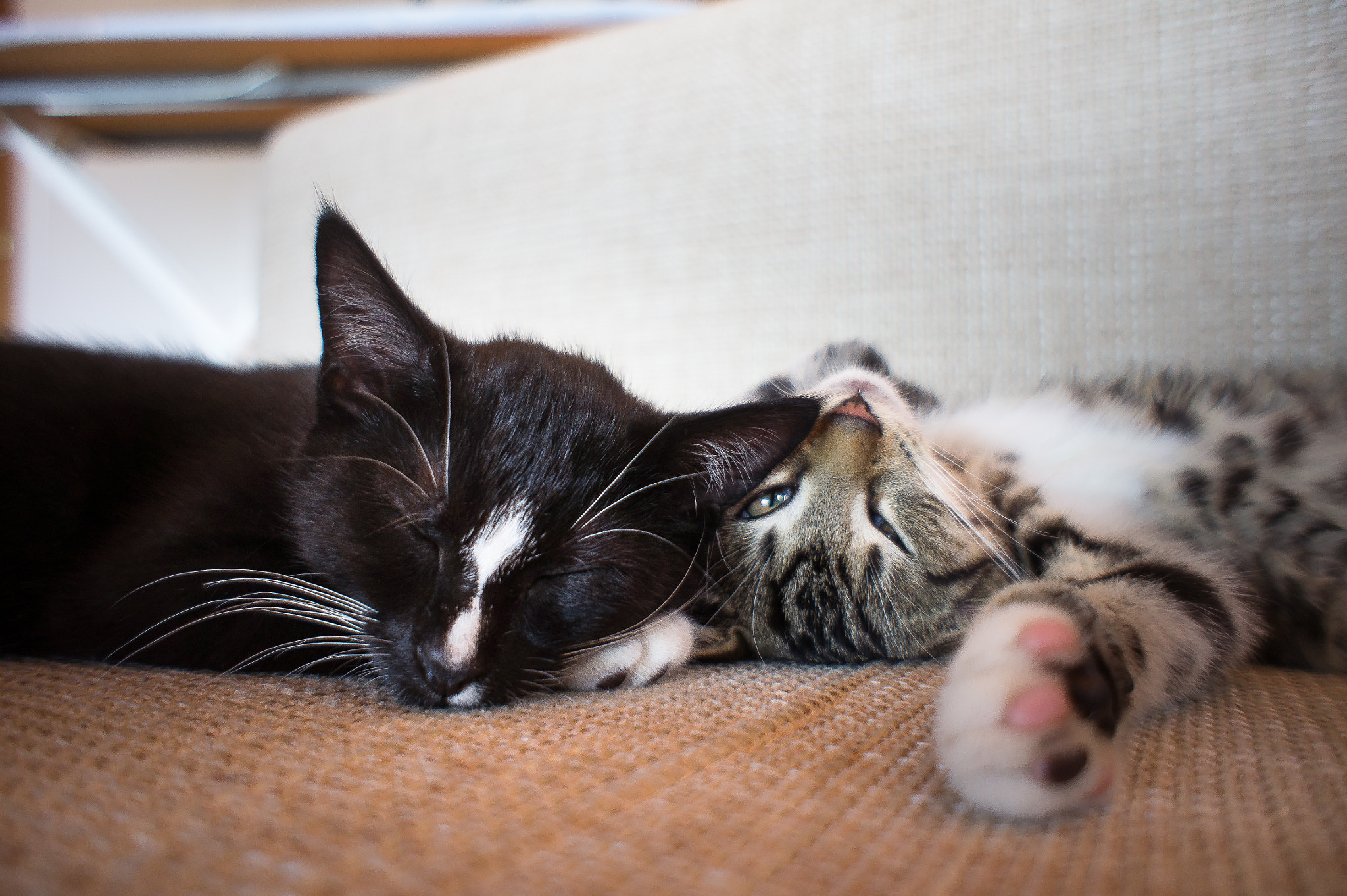 Sony Alpha NEX-3 + Sony E 16mm F2.8 sample photo. Miezen photography