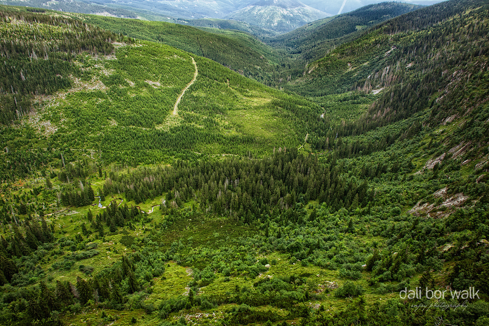 Canon EOS 5D Mark II + Sigma 24mm f/1.8 DG Macro EX sample photo. Elbe valley photography