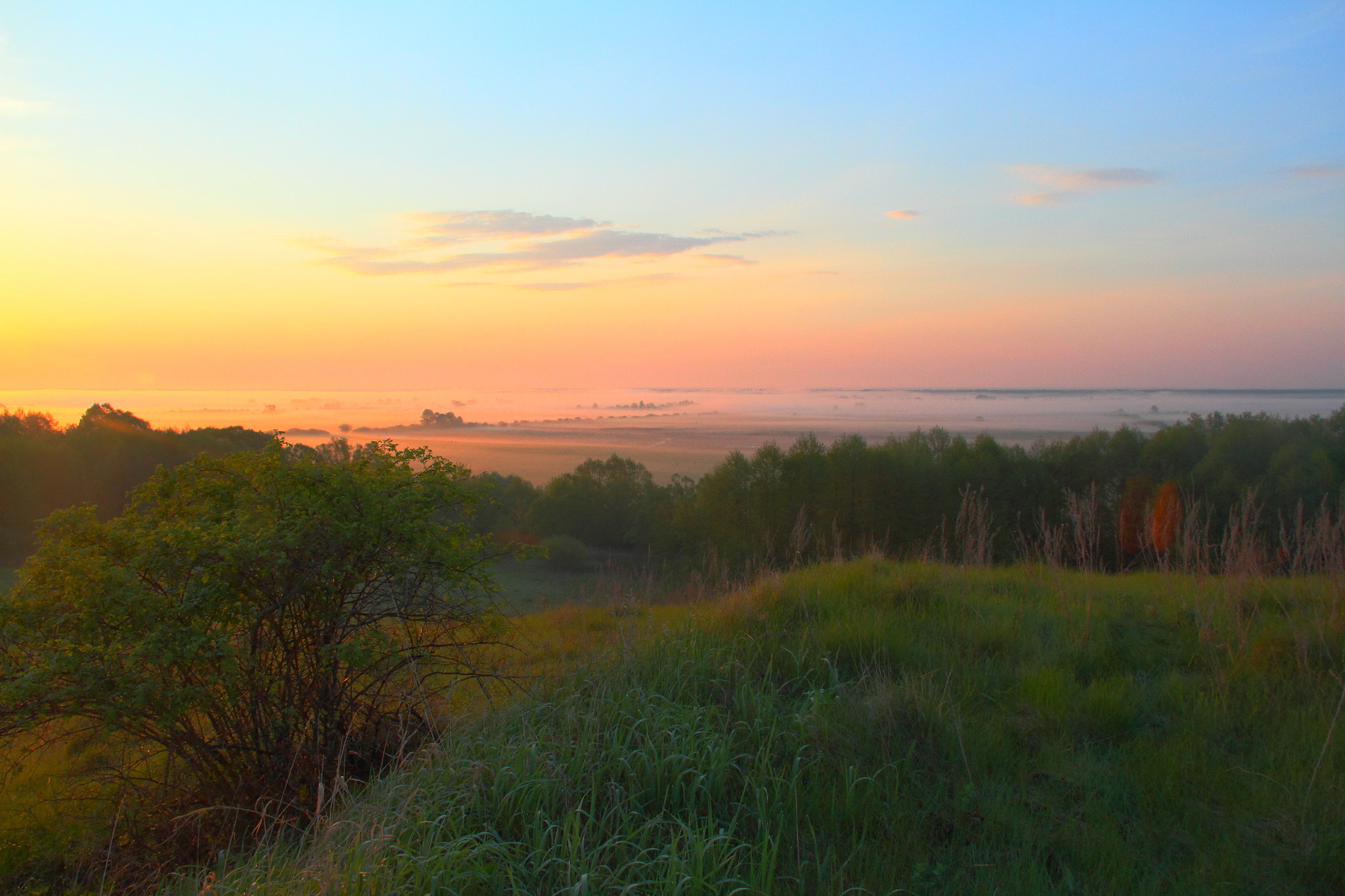 Canon EOS 7D + Canon EF-S 18-135mm F3.5-5.6 IS sample photo. Caress of morning photography