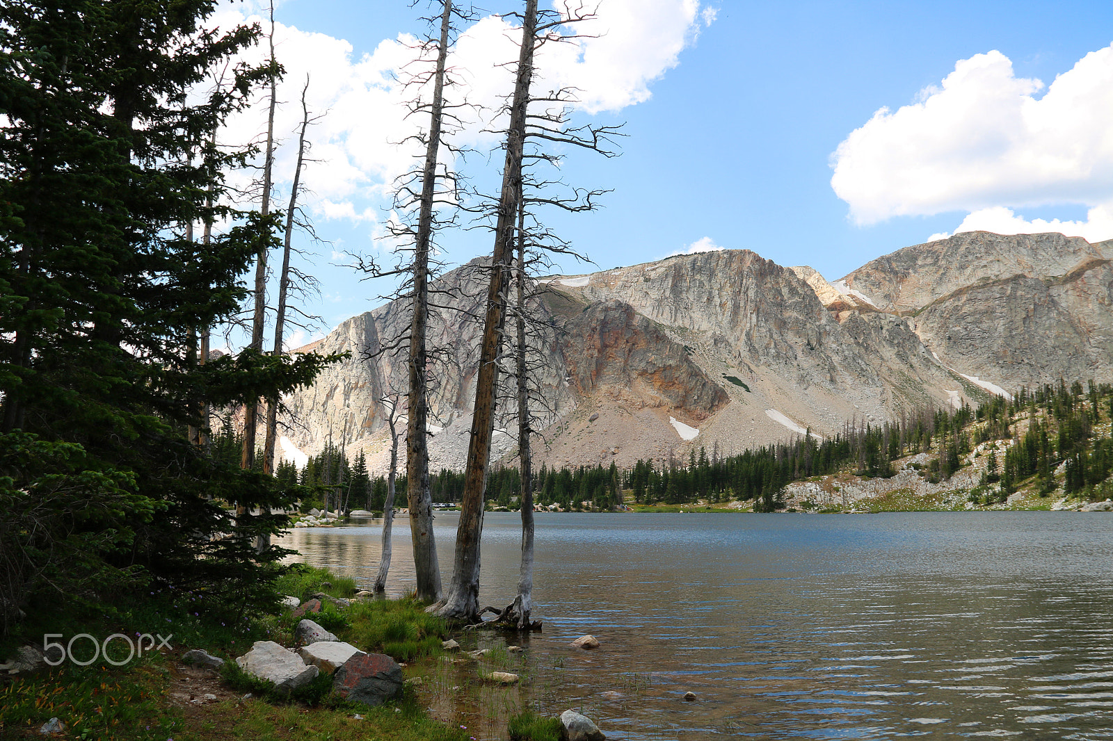 Canon EOS 750D (EOS Rebel T6i / EOS Kiss X8i) sample photo. Medicine bow national forest photography