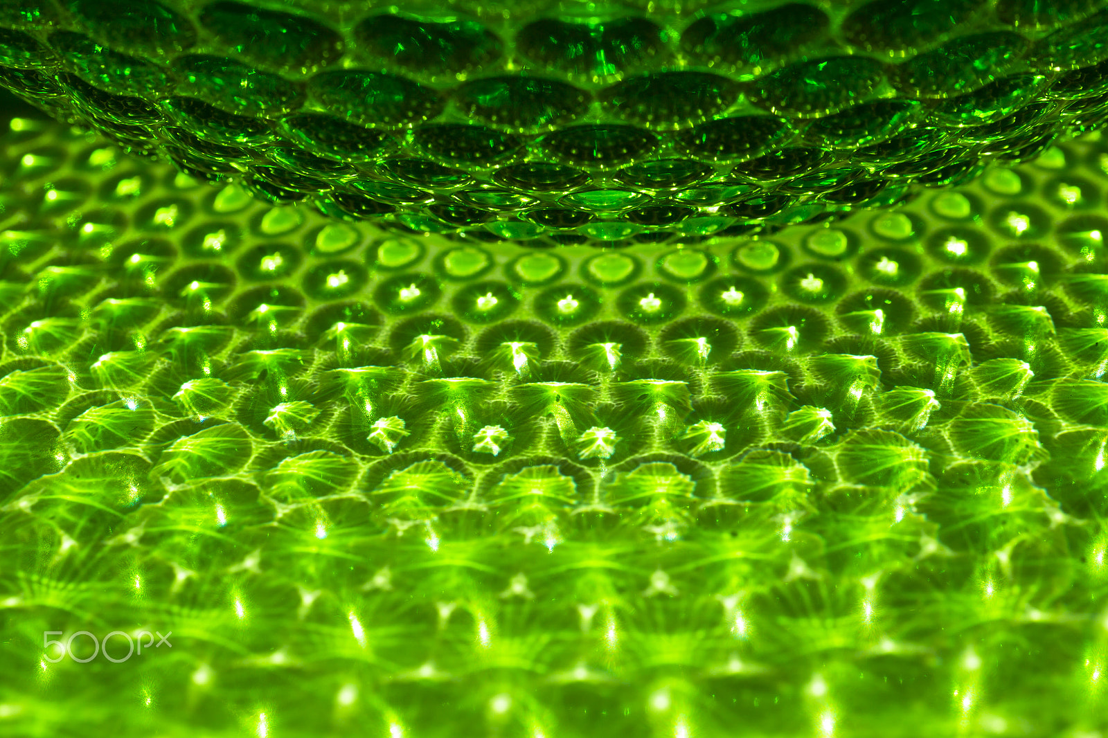 Canon EOS-1D Mark IV + Canon EF 100mm F2.8L Macro IS USM sample photo. Gloss green textured glass vase - beautiful glamorous texture fo photography