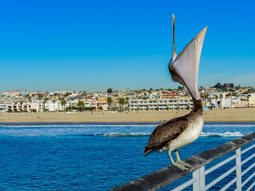 Nikon AF-S Nikkor 17-35mm F2.8D ED-IF sample photo. La hermosa beach photography
