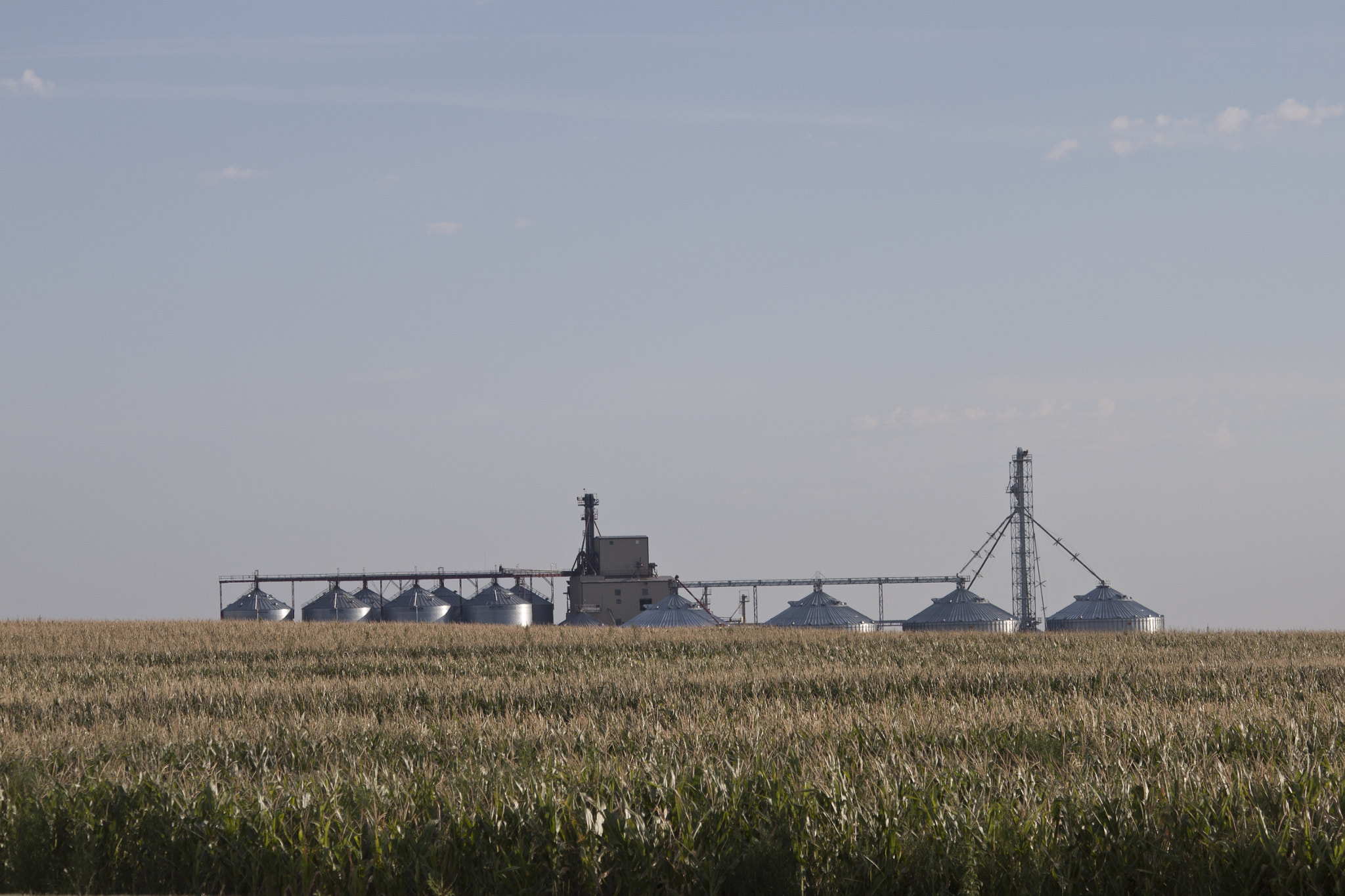 Canon EF 70-300mm F4-5.6 IS USM sample photo. Solo farm photography