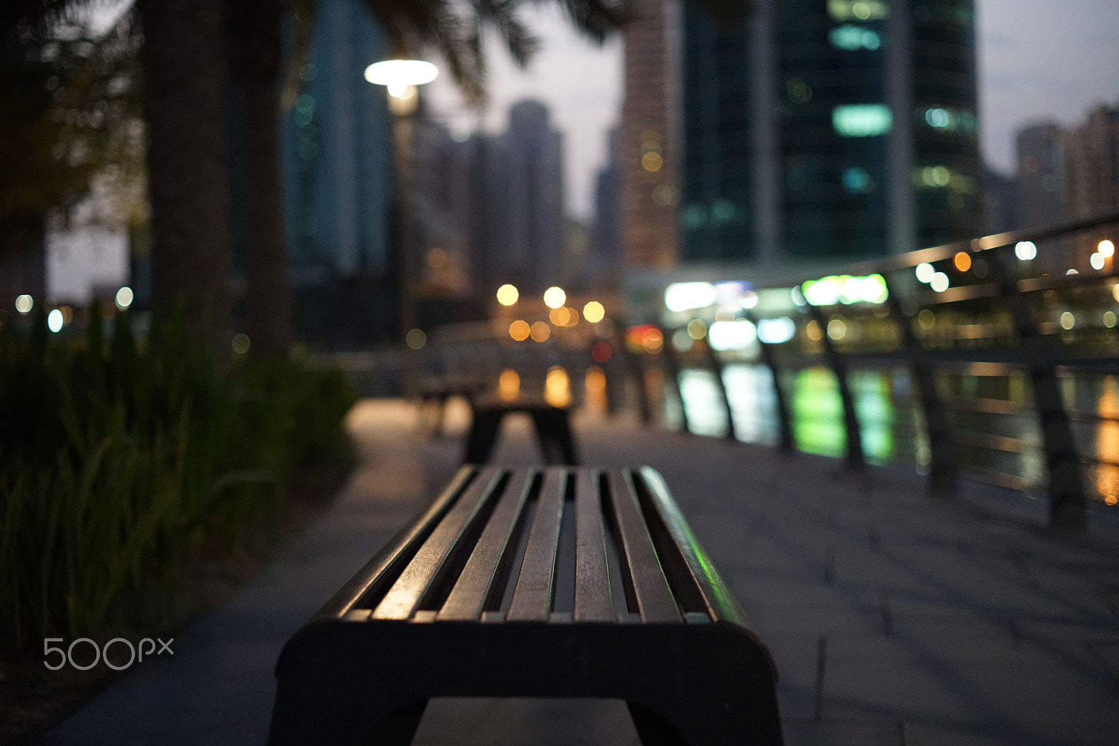 ZEISS Loxia 50mm F2 sample photo. Bench jlt photography