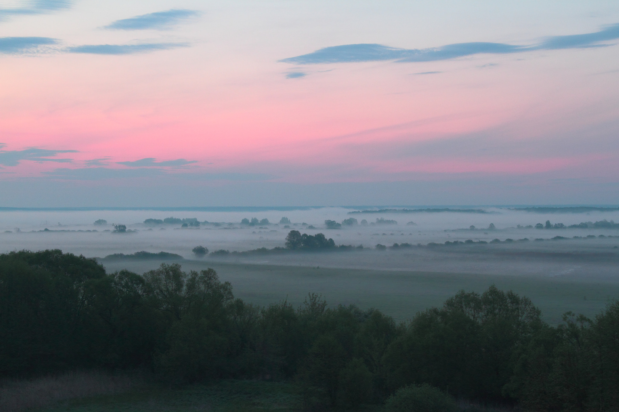 Canon EOS 7D + Canon EF-S 18-135mm F3.5-5.6 IS sample photo. Foggy field photography