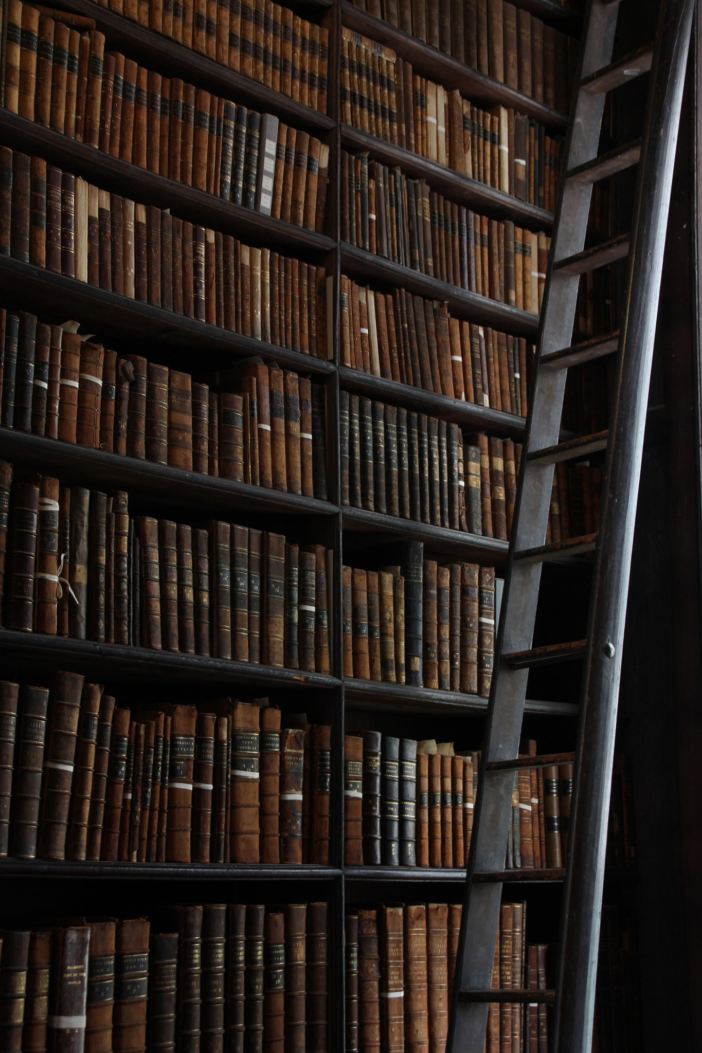 Canon EOS 650D (EOS Rebel T4i / EOS Kiss X6i) sample photo. Old library photography