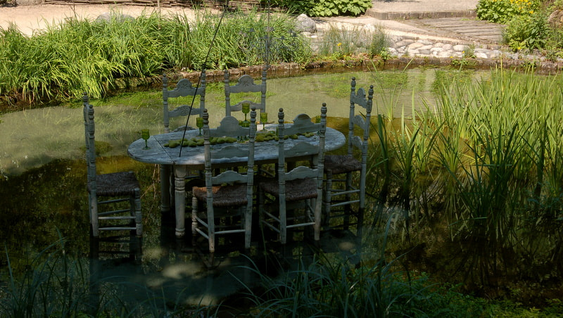 Nikon D50 sample photo. Table in water photography