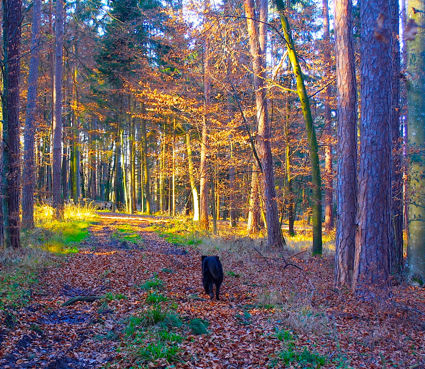 Canon EOS 40D + Canon EF 35-80mm f/4-5.6 USM sample photo. He leads, i follow photography