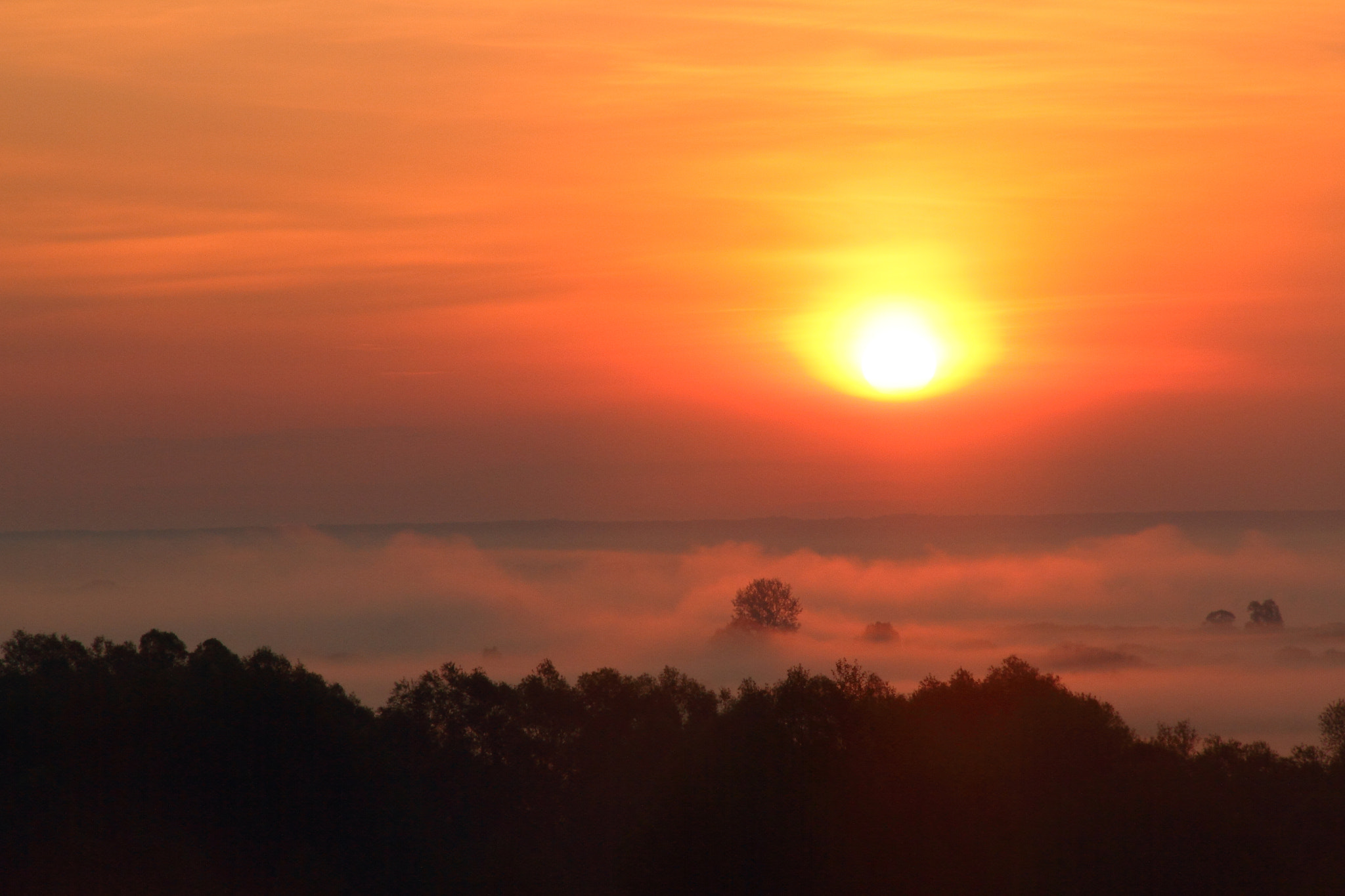 Canon EOS 7D + Canon EF-S 18-135mm F3.5-5.6 IS sample photo. Foggy field 2 photography