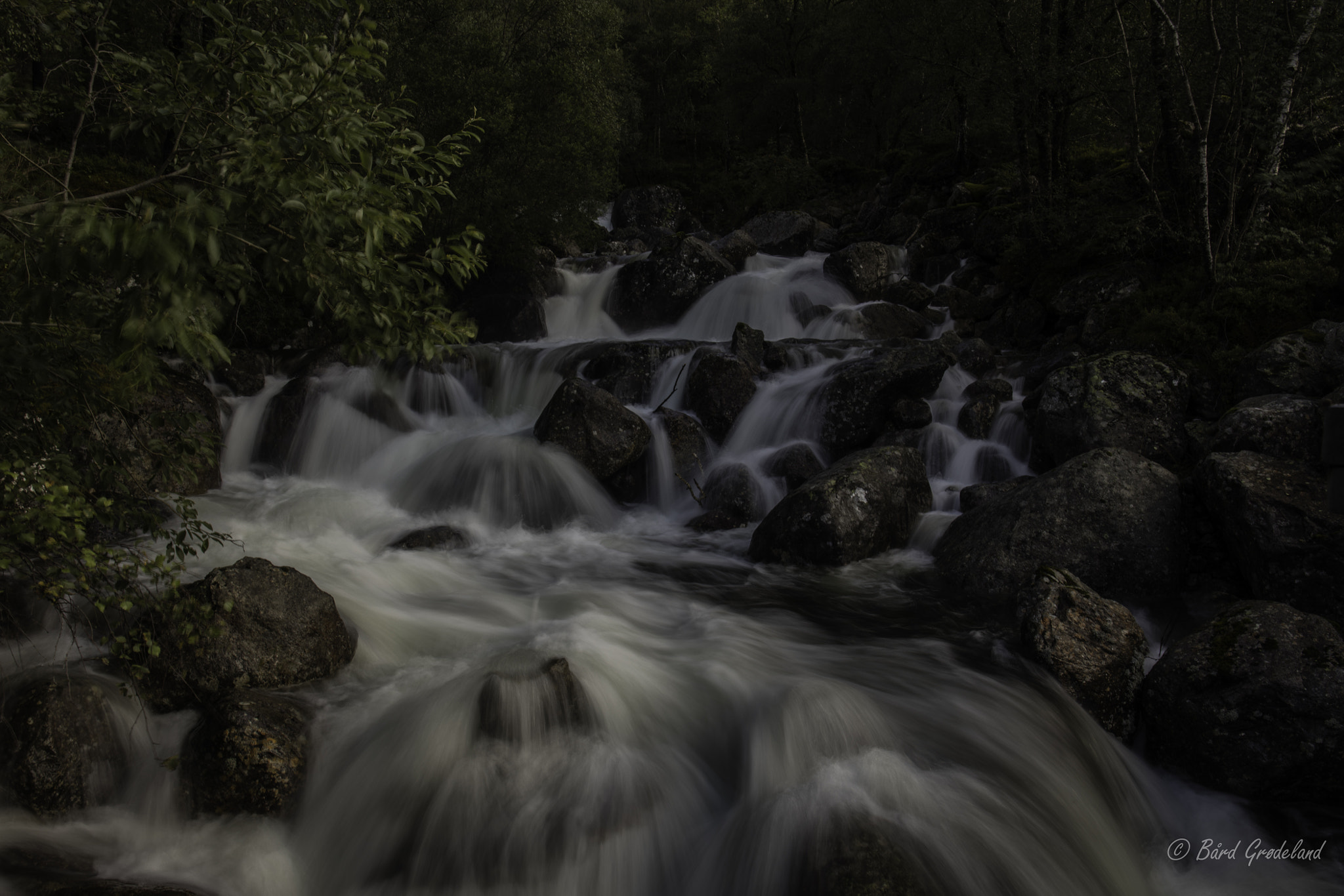 Canon EF 24-70mm F4L IS USM sample photo. Vinddal photography