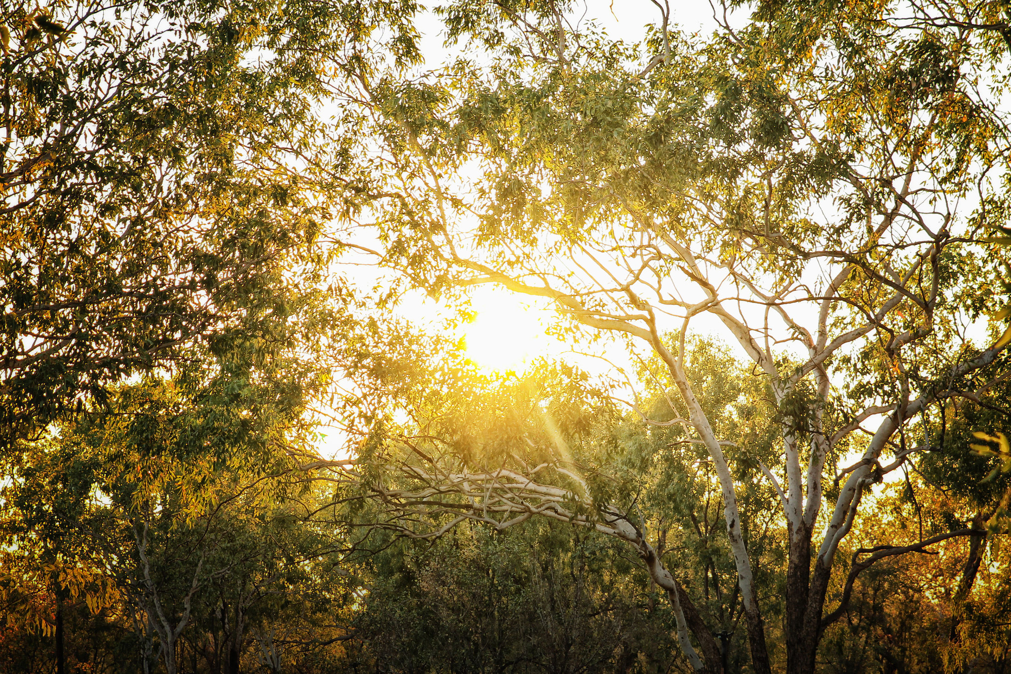 Sigma 24-70mm f/2.8 IF EX DG HSM sample photo. Gibb river road, wa photography