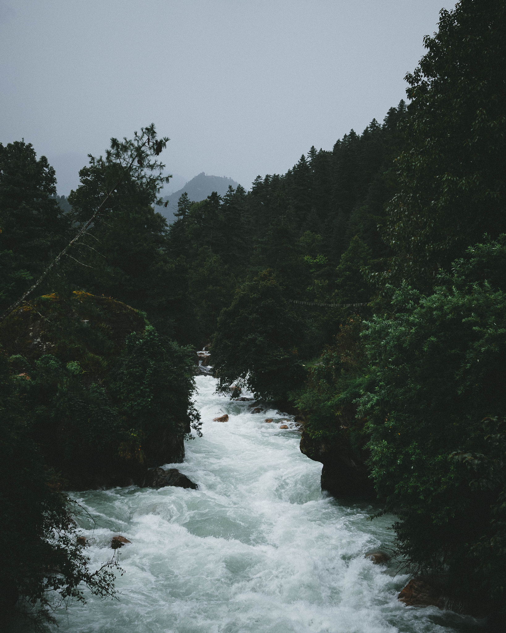 Sigma 24mm F1.4 DG HSM Art sample photo. Of woodlands and glacial water. photography