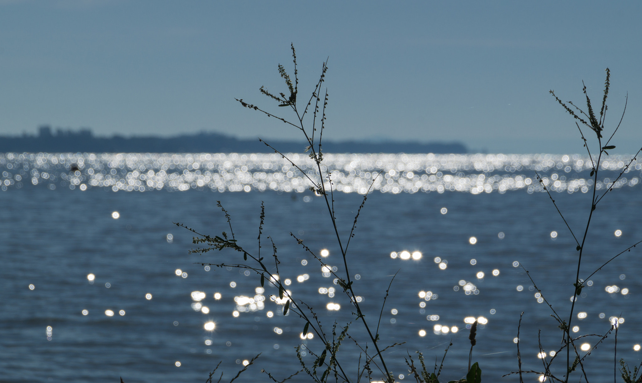 Sony SLT-A37 sample photo. Lake balaton at summer photography