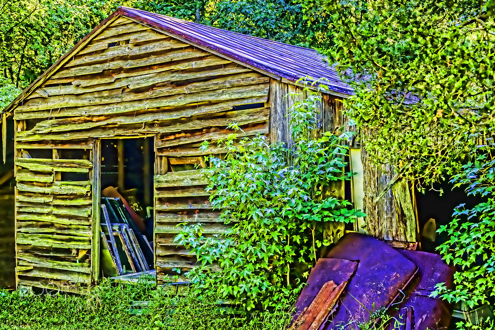Sigma 24-105mm f/4 DG OS HSM | A sample photo. Old weathered barn 2571t2 photography
