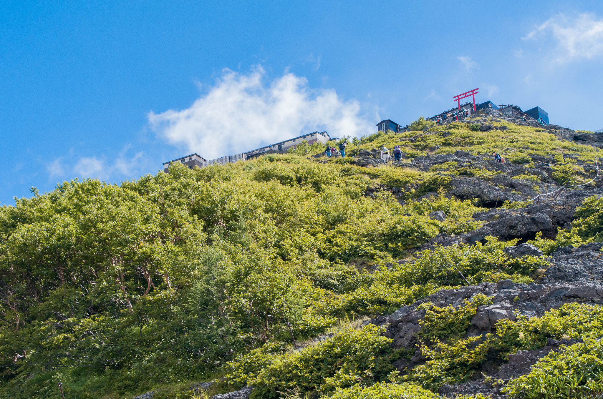 Pentax smc FA 31mm F1.8 AL Limited sample photo. 神的領域 photography