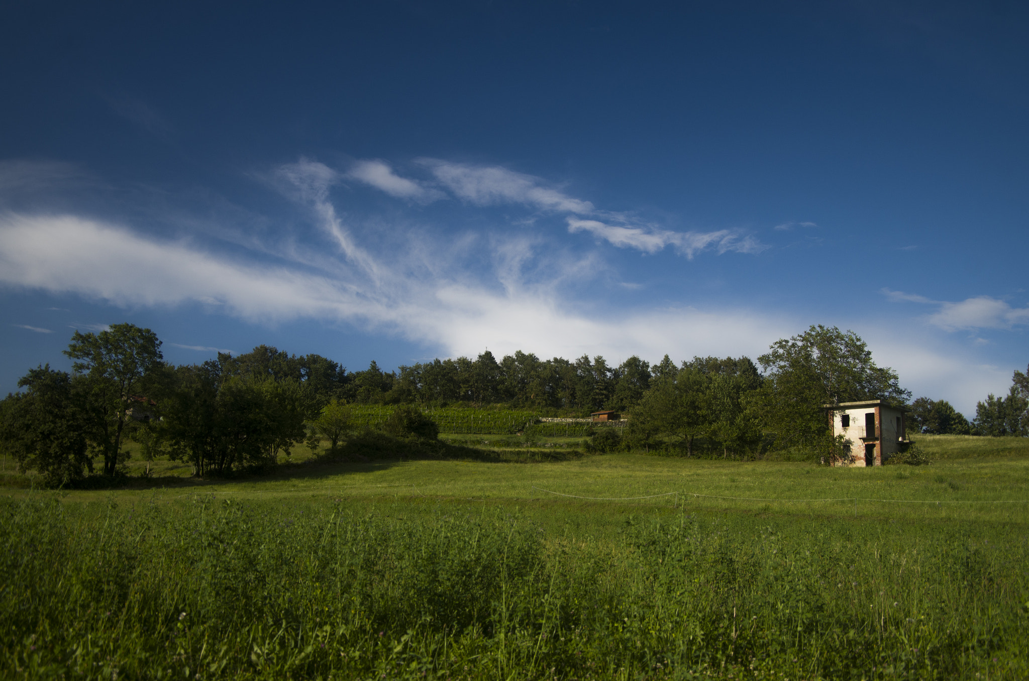 Pentax smc DA 16-45mm F4 ED AL sample photo. Summer photography