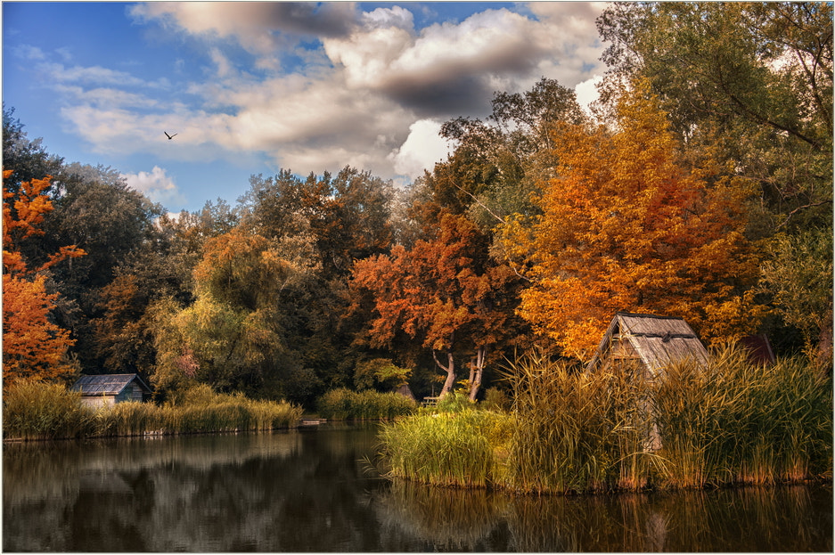 Nikon D700 + AF Zoom-Nikkor 28-105mm f/3.5-4.5D IF sample photo. Fall means photography