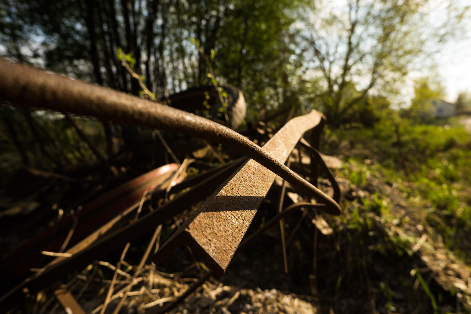 Sony a7 + Sony E 16mm F2.8 sample photo. Rust photography