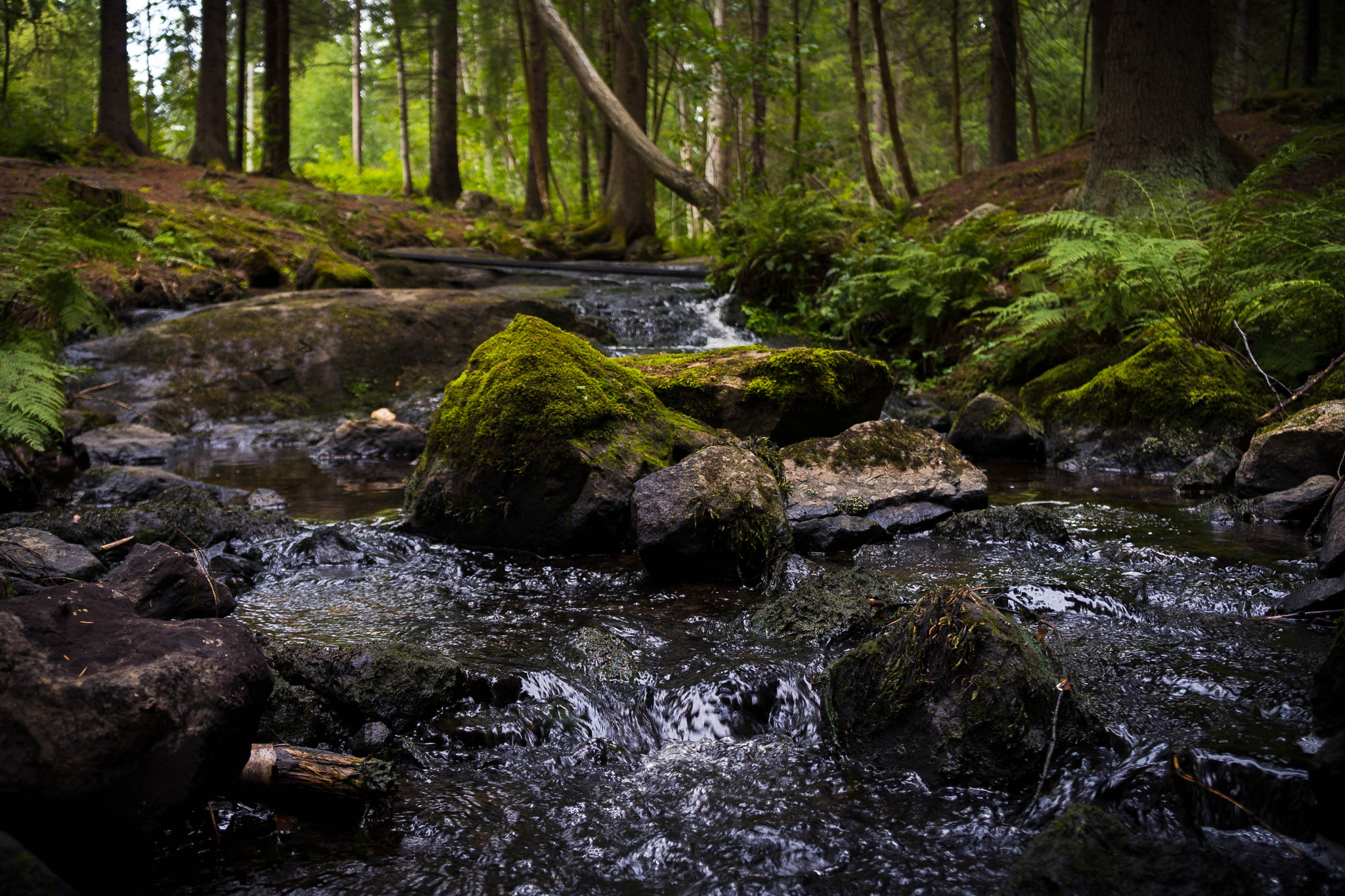 Sony a7 + Sony E 18-55mm F3.5-5.6 OSS sample photo. Forest stream photography