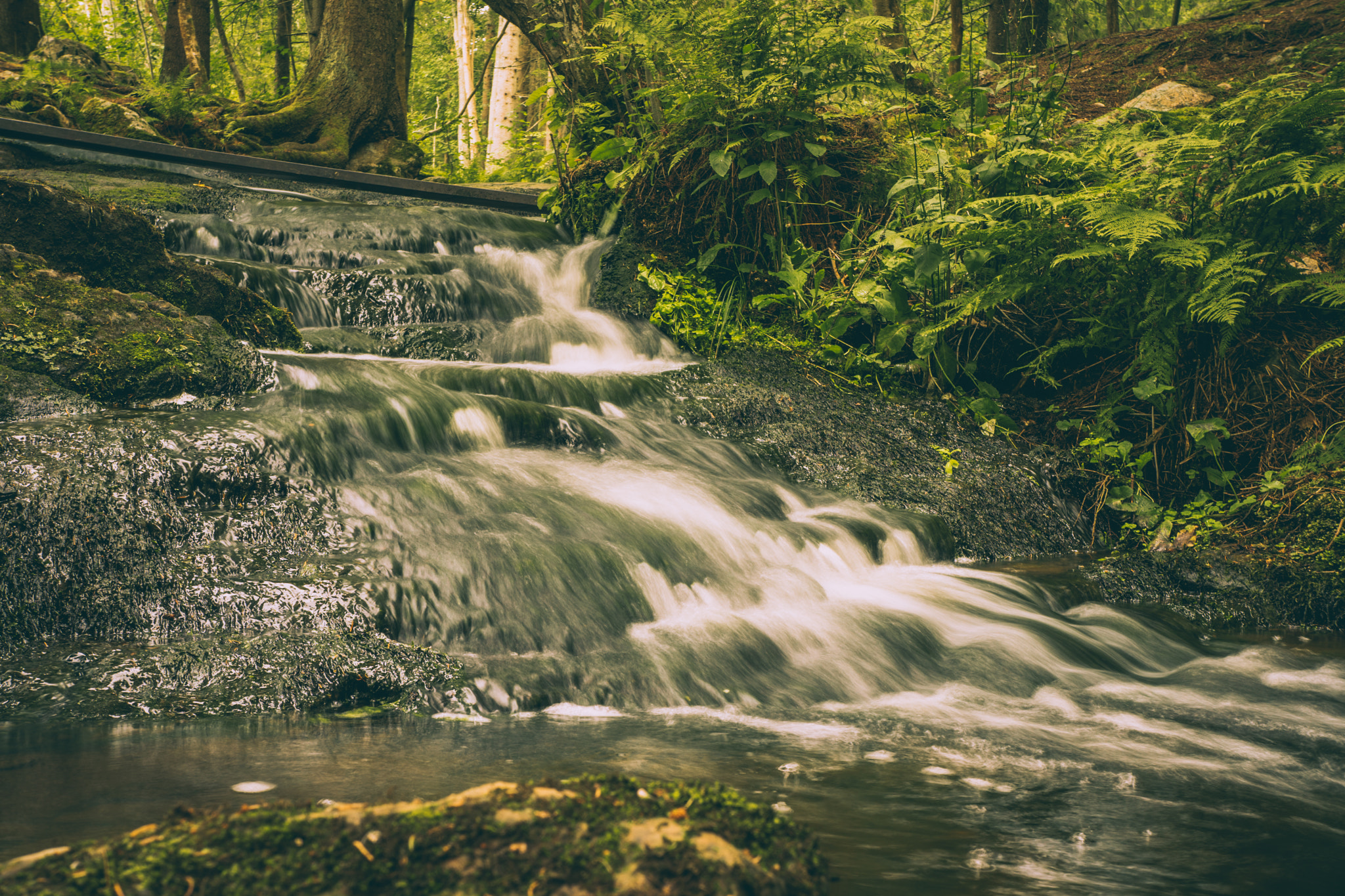 Sony a7 + Sony E 18-55mm F3.5-5.6 OSS sample photo. Forest stream photography