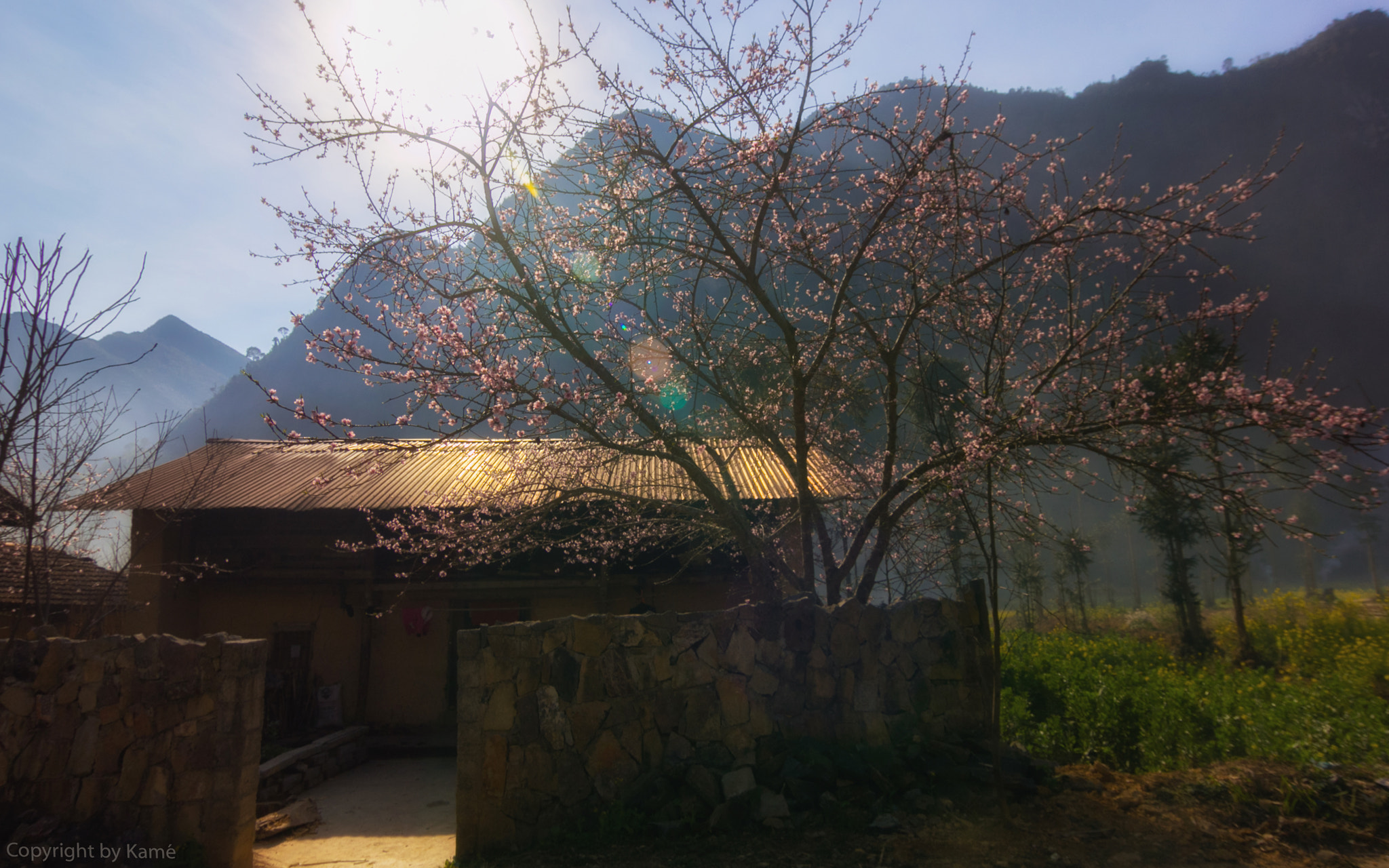 Tokina AT-X Pro 12-24mm F4 (IF) DX sample photo. Peaceful in northwest vietnam photography
