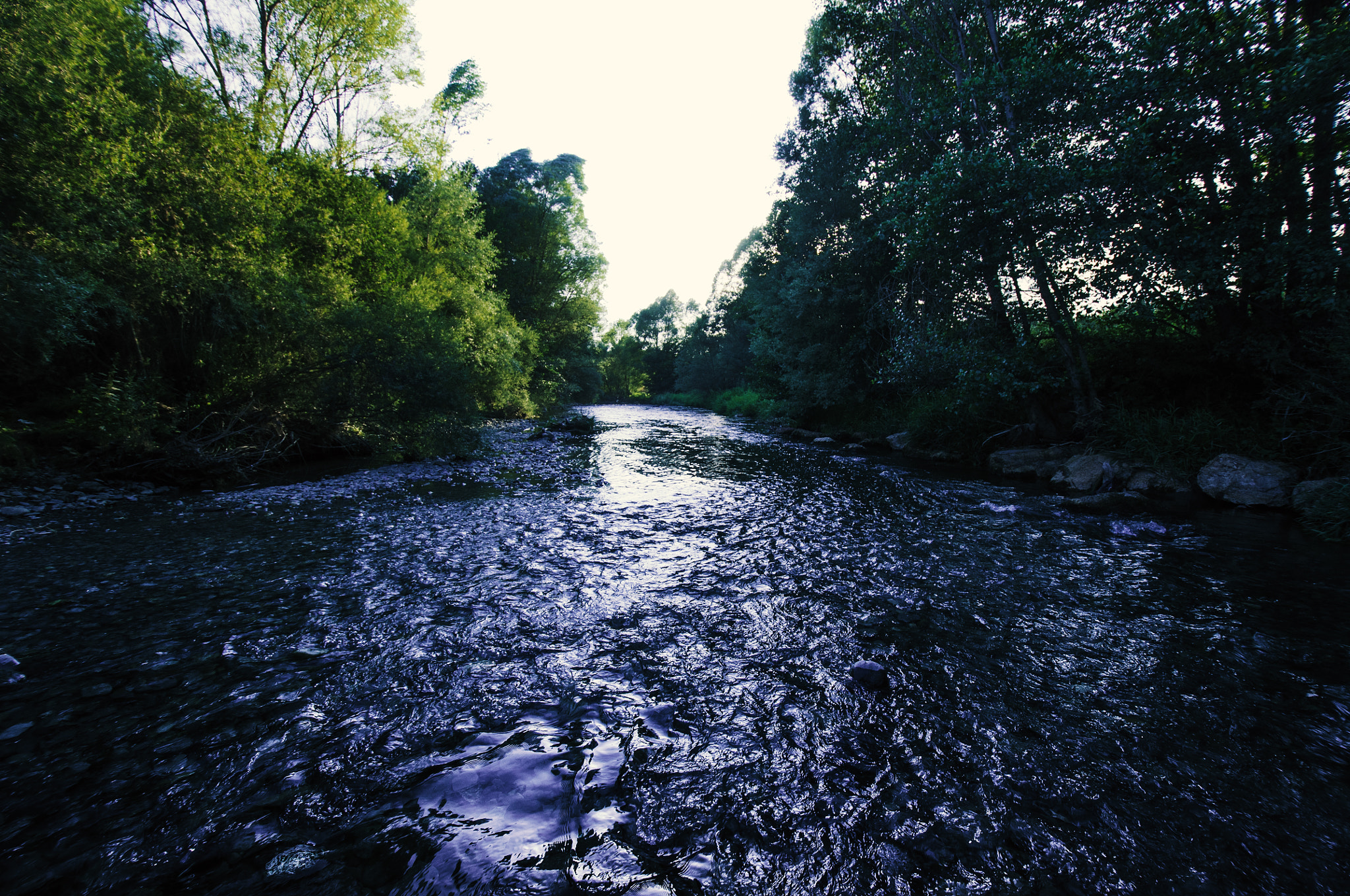 Nikon D5000 sample photo. In the river photography