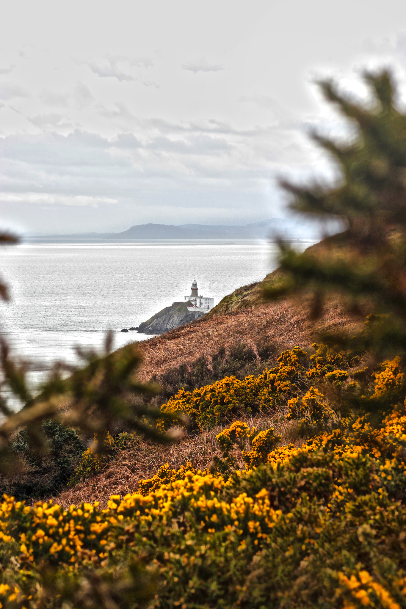 Canon EOS 600D (Rebel EOS T3i / EOS Kiss X5) + Canon EF 50mm F1.8 II sample photo. Howth lighthouse photography