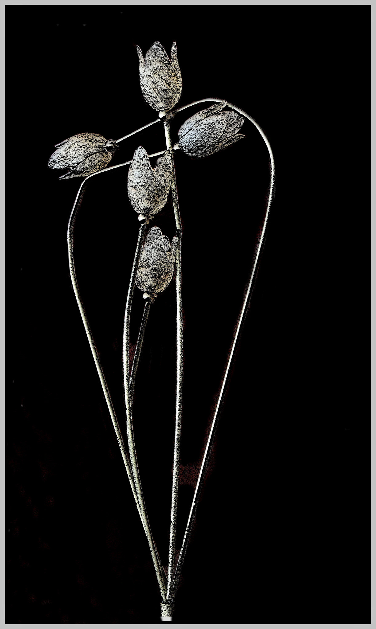 5.6 IS sample photo. Oynox and silver photography