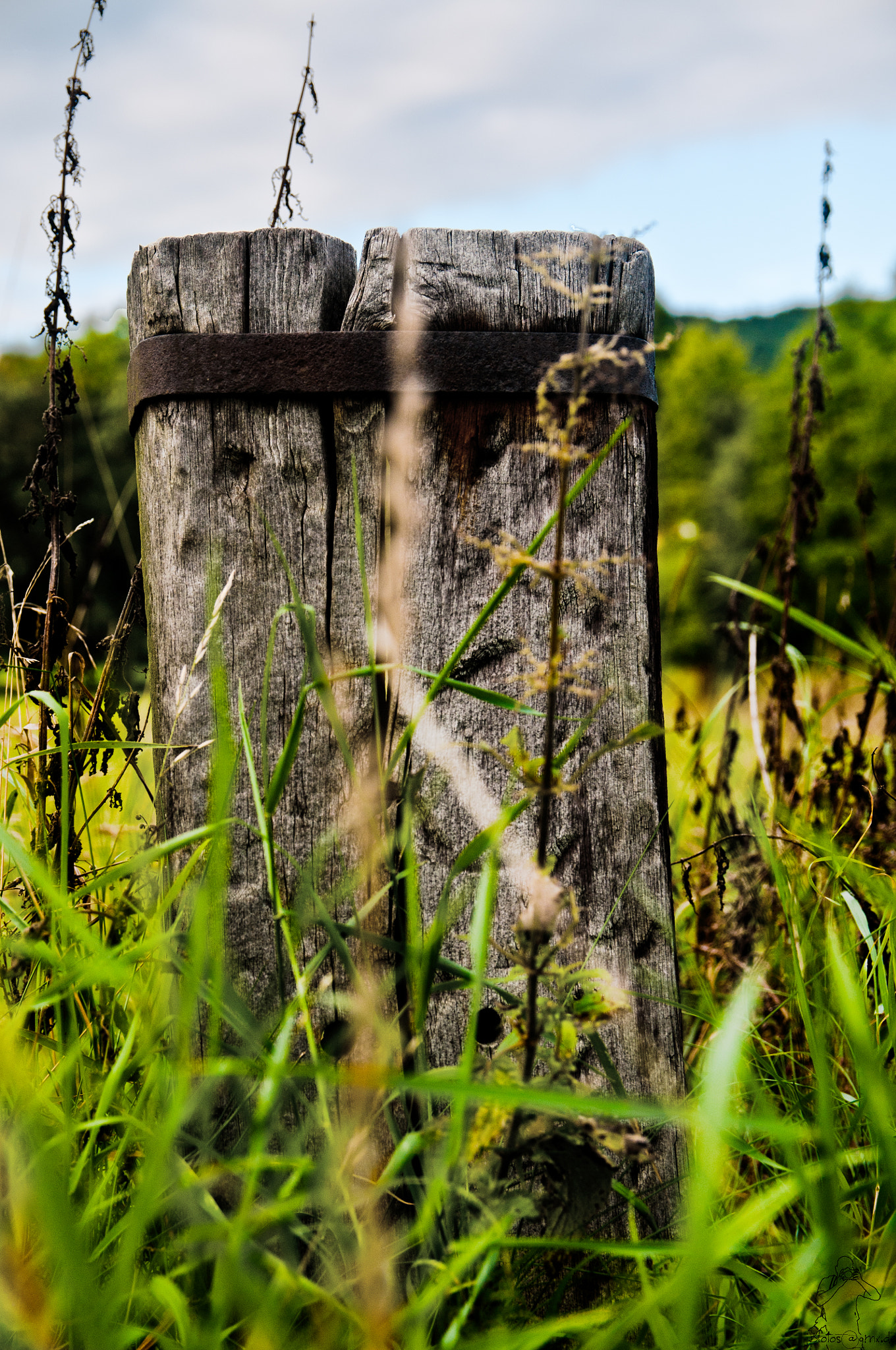 Sigma 17-50mm F2.8 EX DC OS HSM sample photo. The pole photography
