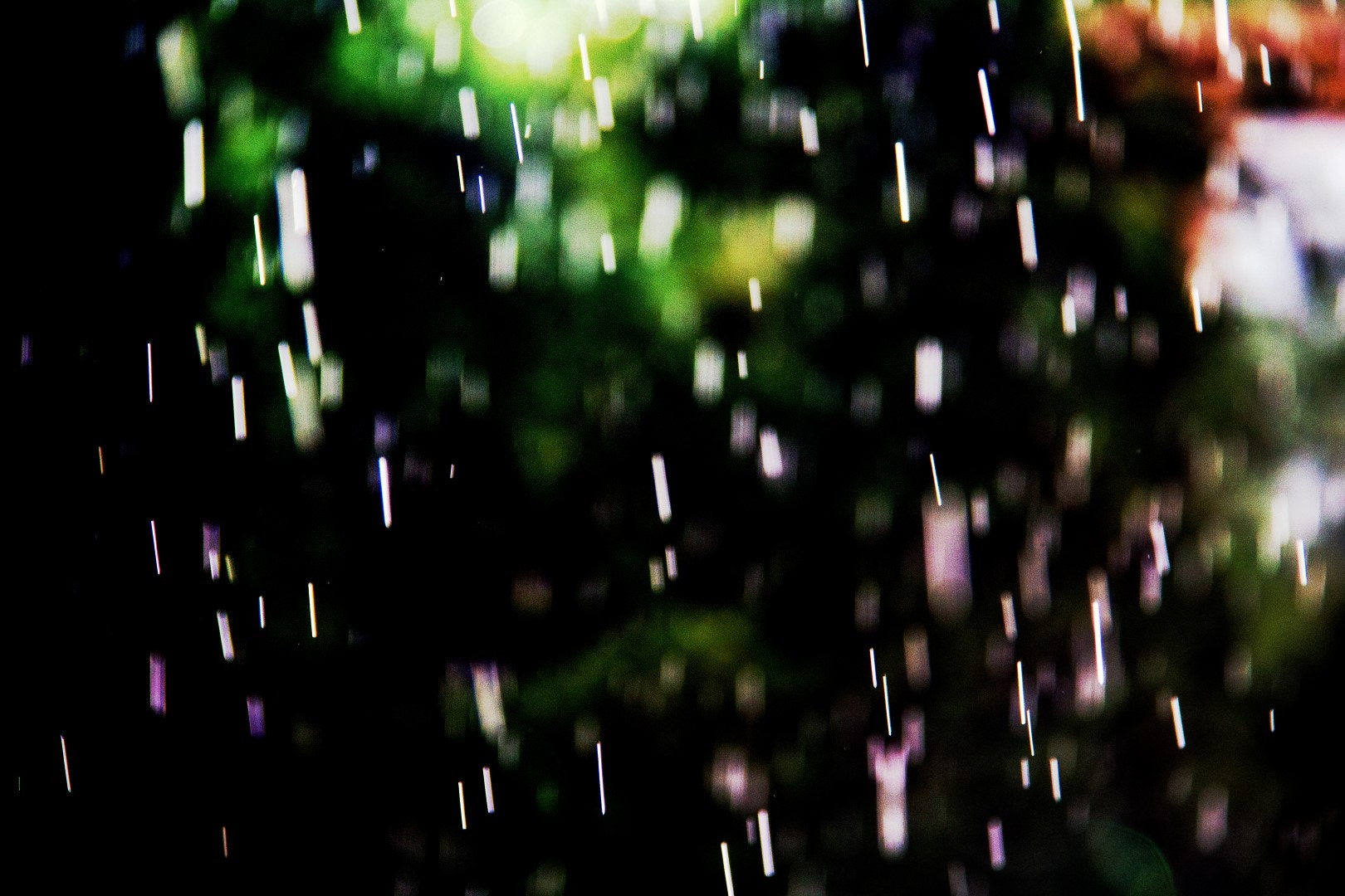 Canon EF-S 18-200mm F3.5-5.6 IS sample photo. Sunrain photography