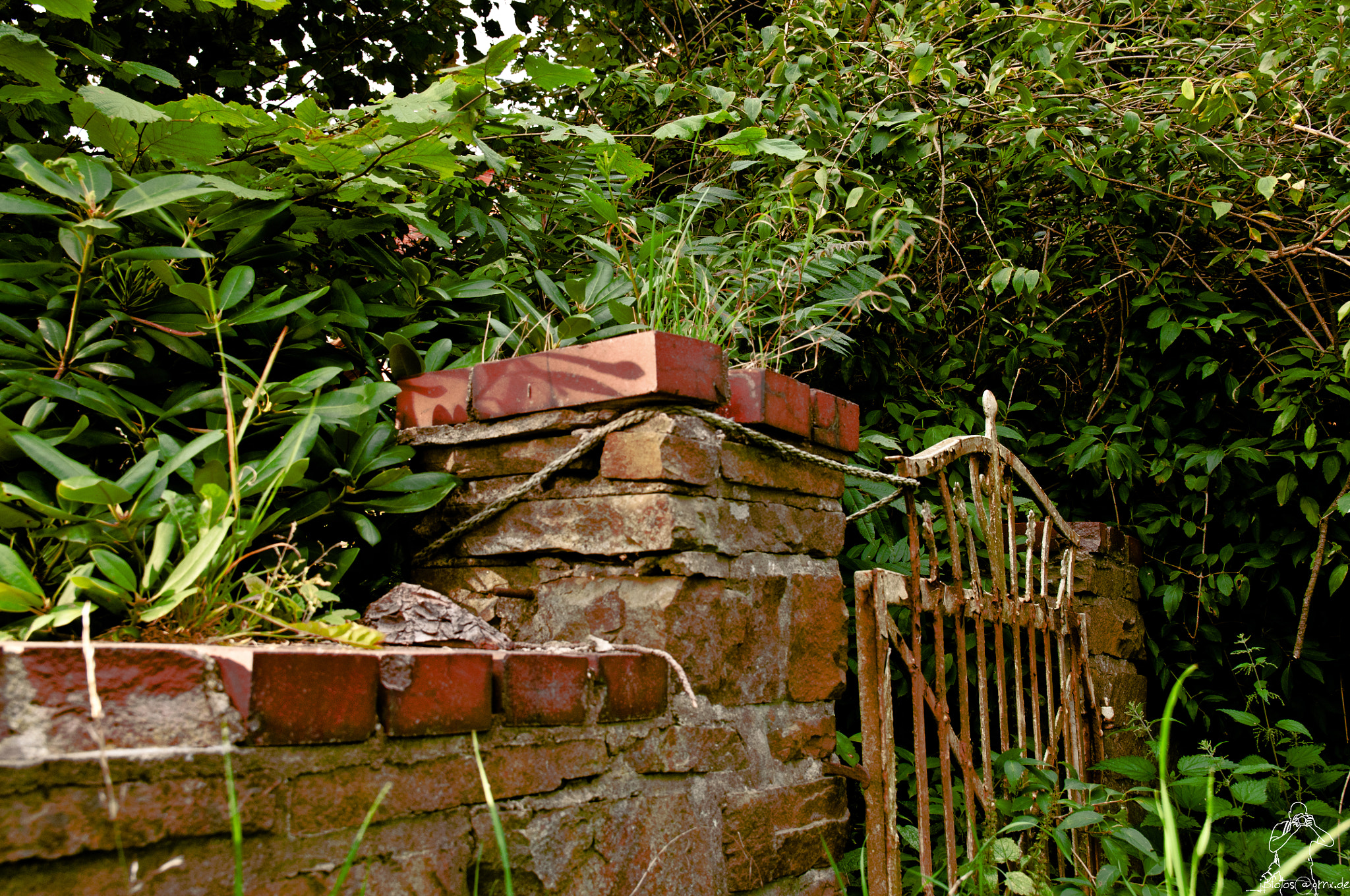 Sigma 17-50mm F2.8 EX DC OS HSM sample photo. Gate photography