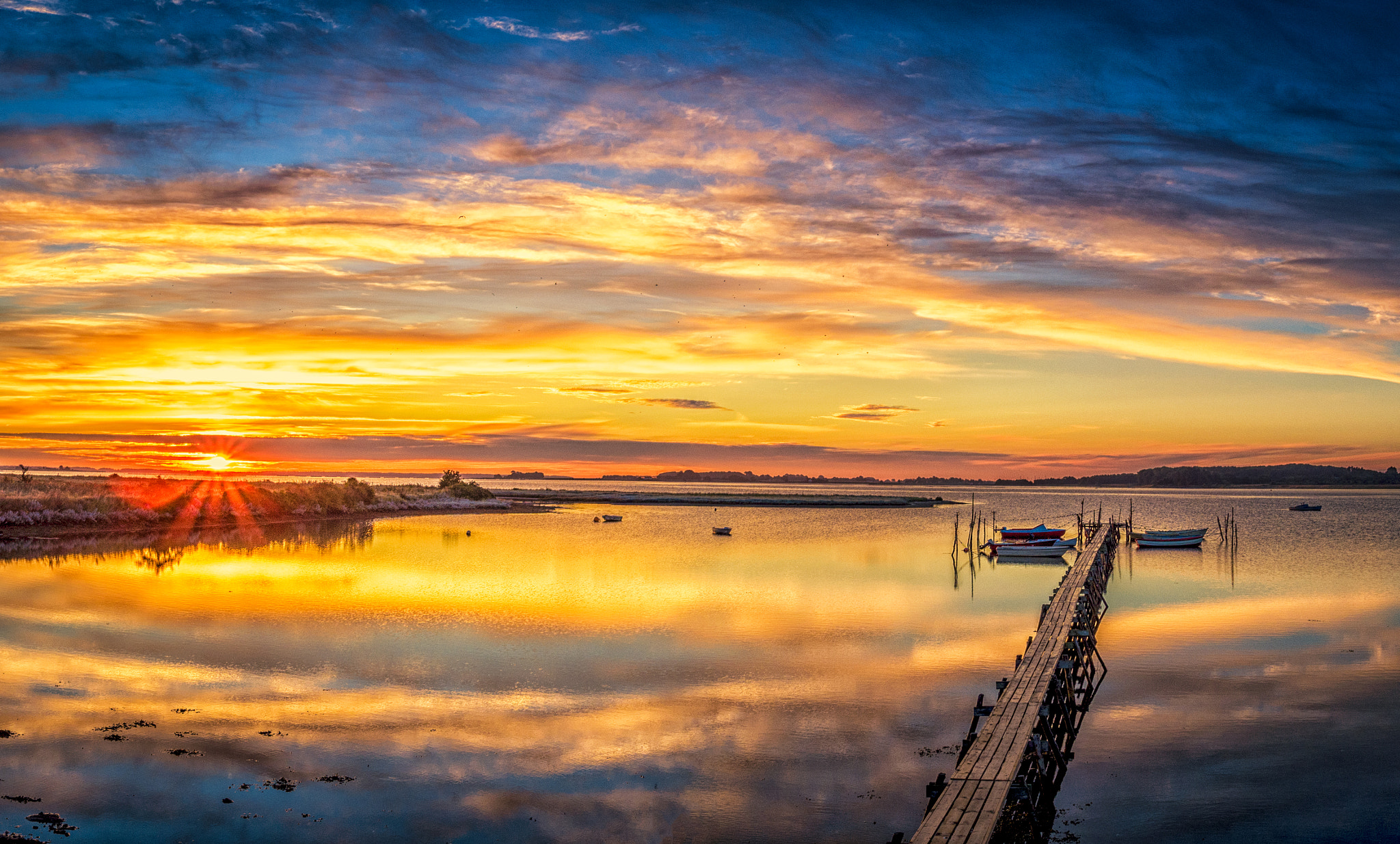 DJI FC550 sample photo. Golden morning photography