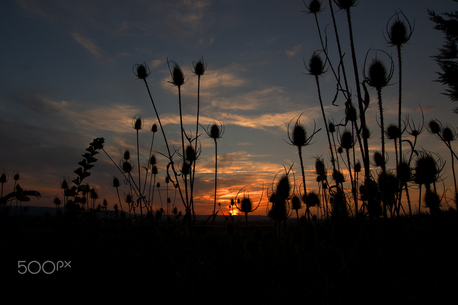 Sony Alpha DSLR-A700 sample photo. Sunset photography