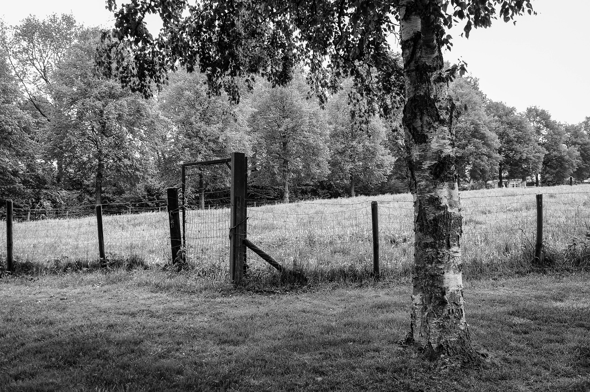 Tamron 18-200mm F3.5-6.3 Di III VC sample photo. Farm gate photography