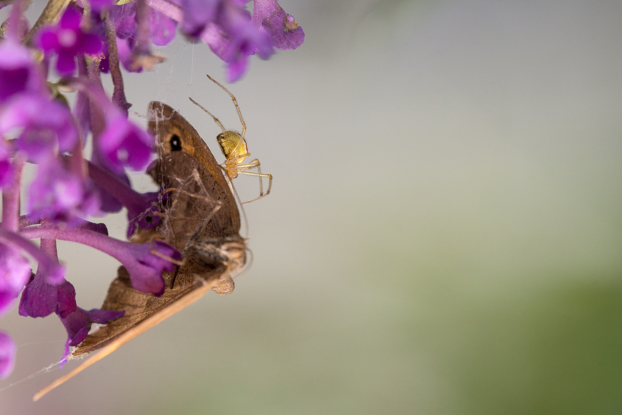 Sony a99 II sample photo. Lunchtime photography